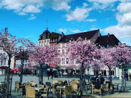 Foto: Weinstube Schneiderfritz